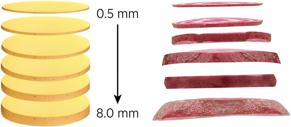 MANDOLINA CORTADORA MULTIFUNCIONAL PARA VERDURAS Y FRUTAS
